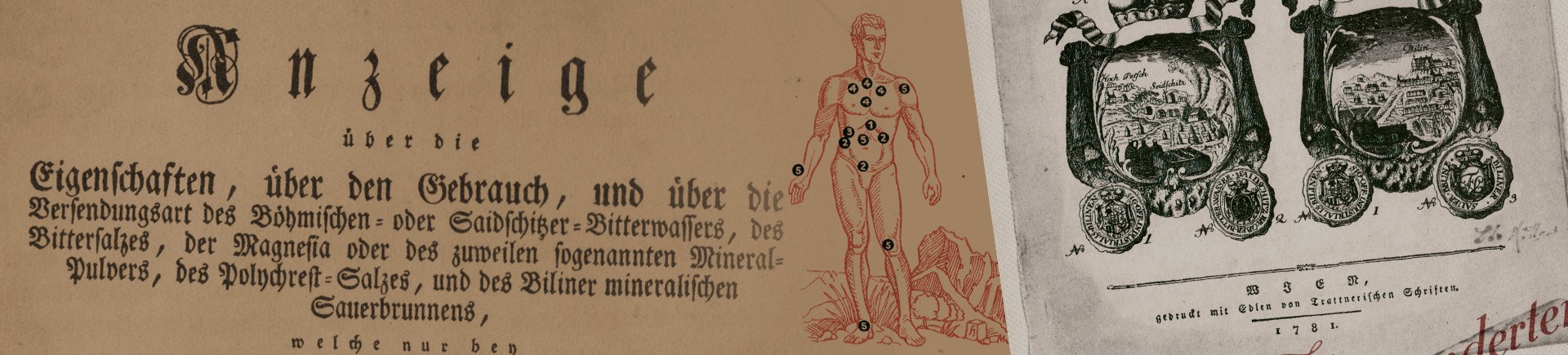 1768 Pierwsze studia medyczne