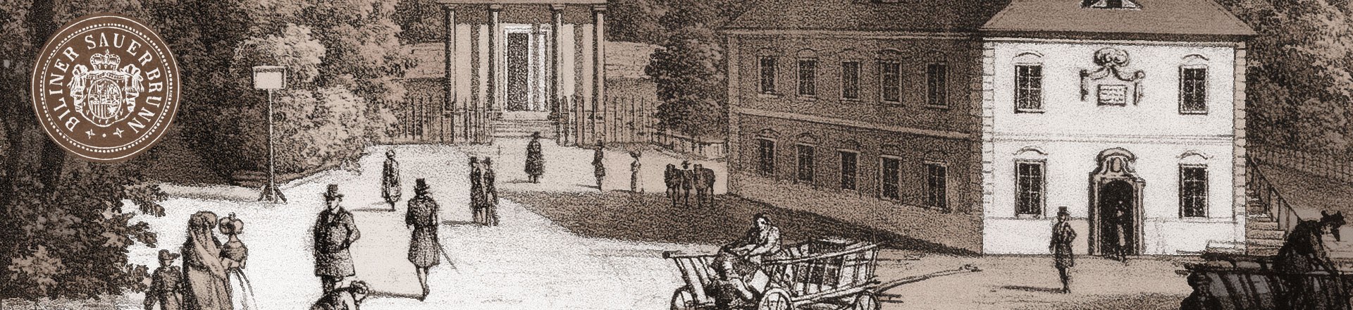 1768 Första läkarstudierna